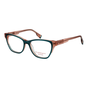 Ana Hickmann Optical Frame HIY6017 H02 50