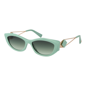 Ana Hickmann Sunglasses HI9217 D01 55