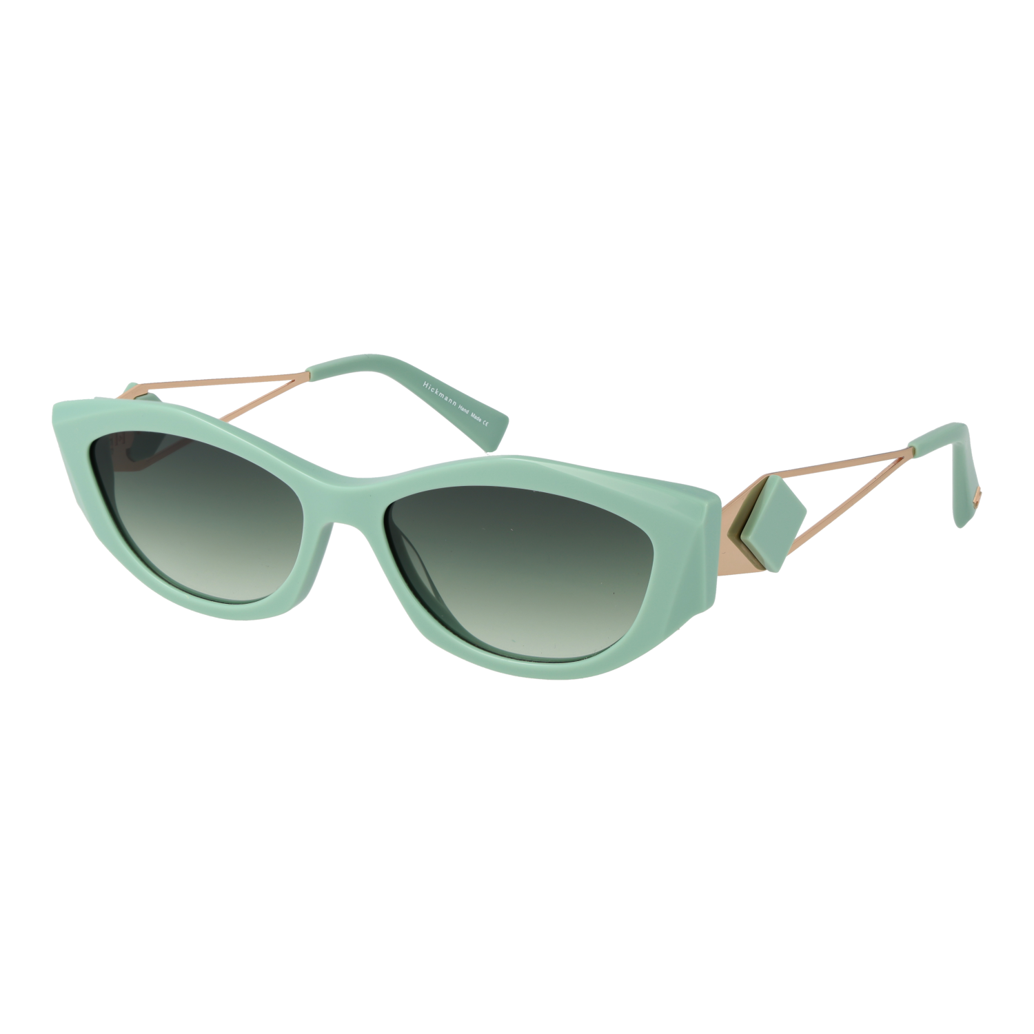 Ana Hickmann Sunglasses HI9217 D01 55