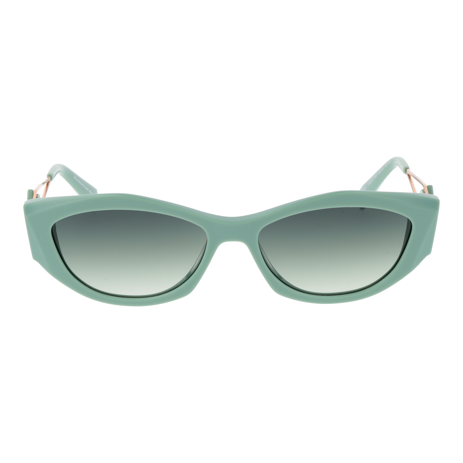 Ana Hickmann Sunglasses HI9217 D01 55 - Image 2