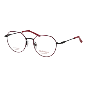 Ana Hickmann Optical Frame HIY1030T 09B 49 Titanium