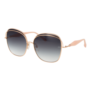 Ana Hickmann Sunglasses AH3287 04A 59