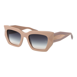 Ana Hickmann Sunglasses AH9416 D01 51