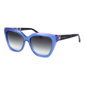 Ana Hickmann Sunglasses AH9430 H02 55