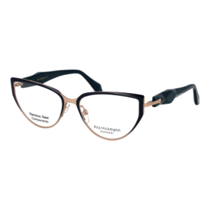 Ana Hickmann Optical Frame AH1539 06A 55