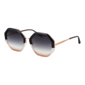Ana Hickmann Sunglasses AH3292 C01 53