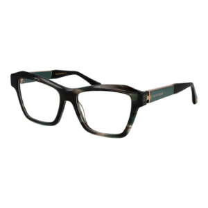 Ana Hickmann Optical Frame AH6580 E01 53