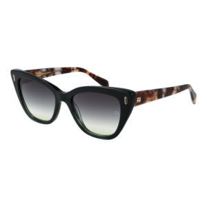 Ana Hickmann Sunglasses AH9437 E01 53