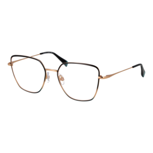 Ana Hickmann Optical Frame HI1263T 05A 53 Titanium