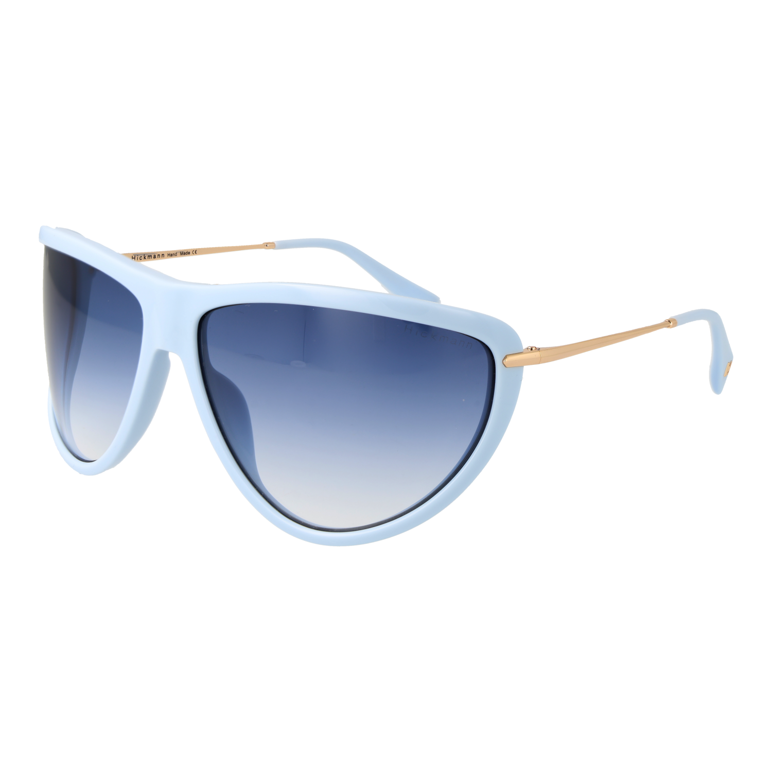 Ana Hickmann Sunglasses HI9251 D02 73